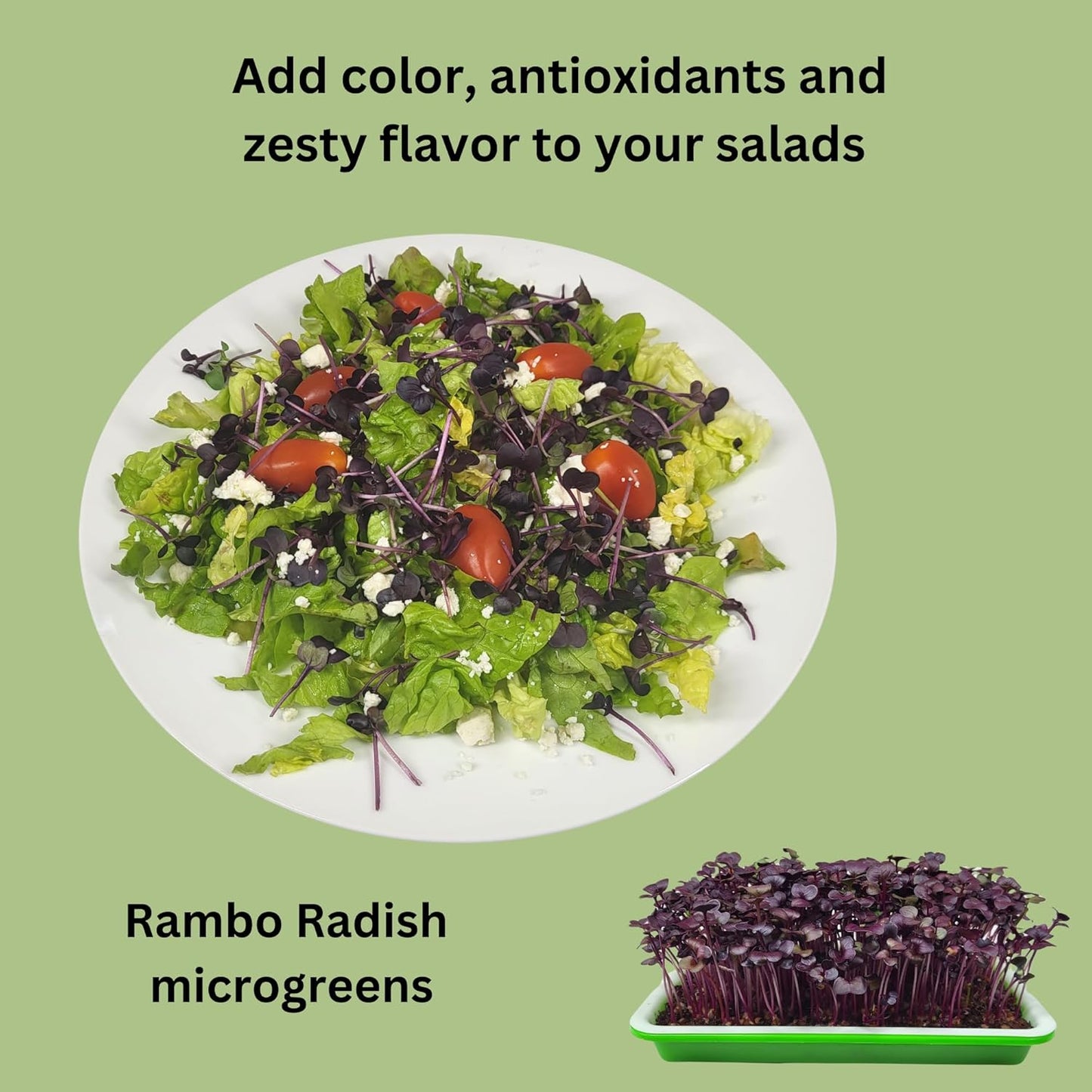 Complete Home Microgreens Kit - Indoor Garden System - Includes 2 Sets of Reusable Trays, Spray Mister, 2 pkgs of Hydroponic Growing Medium, Organic Radish and Broccoli Seeds