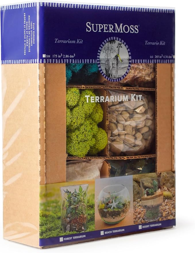 SuperMoss (90420) Beach Terrarium DIY Kit – Create Stunning Nature-Inspired Mini Gardens – Perfect for Home Decor, Office Gifts, and Plant Lovers, Appx 8 Oz
