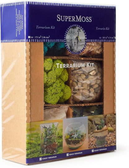 SuperMoss (90420) Beach Terrarium DIY Kit – Create Stunning Nature-Inspired Mini Gardens – Perfect for Home Decor, Office Gifts, and Plant Lovers, Appx 8 Oz