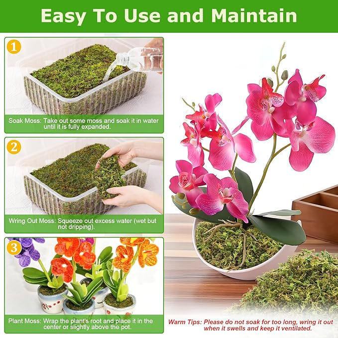 Legigo 3.5OZ Premium Forest Moss for Plants, 4QT Natural Green Sphagnum Moss for Potted Plants, Dried Orchid Moss Potting Mix, Soft Real Moss Decorative for Houseplants Orchids Succulents Reptiles