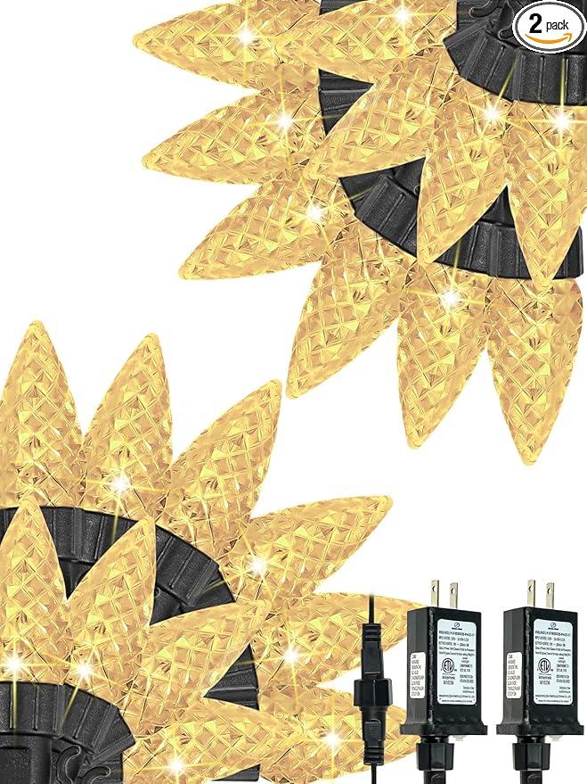 2 Pack C6 Christmas Lights Outdoor Indoor, Total 200 LED 66 FT Connectable Christmas String Lights with Timer & 13 Modes, Waterproof Twinkle Light for Xmas Tree Party Wedding Decorations (Warm White)