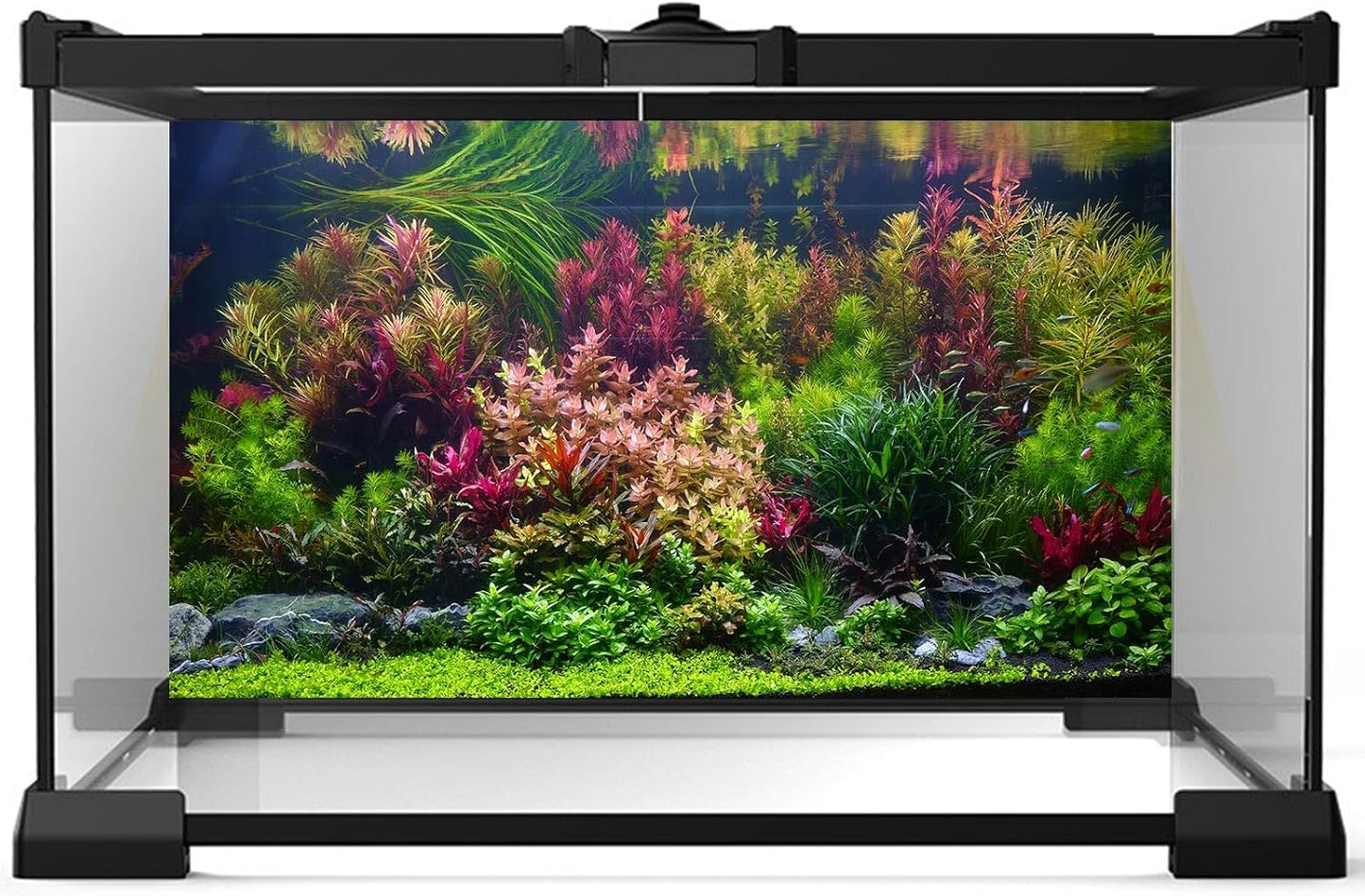 Aquarium Background Various Vivid Fresh Underwater Aquatic Plant Fish Tank Aquarium Backdrop Stone River Bed and Lake Fish Terrarium Background Decor Vinyl 72x24in
