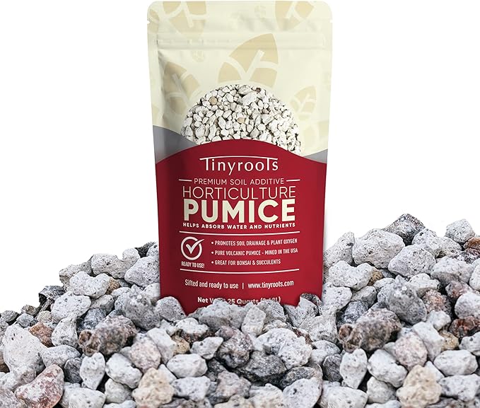Bonsai Outlet Horticultural Pumice for Plants - Tinyroots Succulents, Cactus, Bonsai Plants - 100% Pure Bonsai Pumice Rocks, 1/4 inch Soil Additive, 2 Quarts