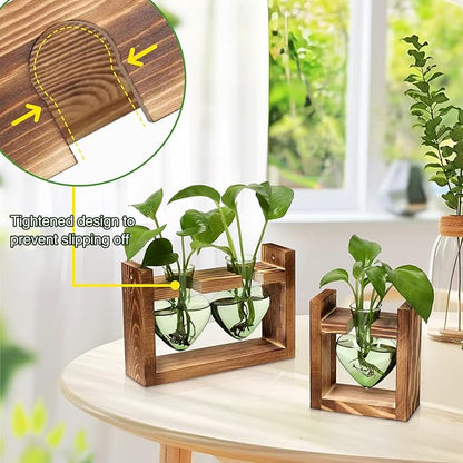 2+1 Plant Terrarium Plant Propagation Station Birthday Gifts for Women Home Office Decor with Wooden Stand