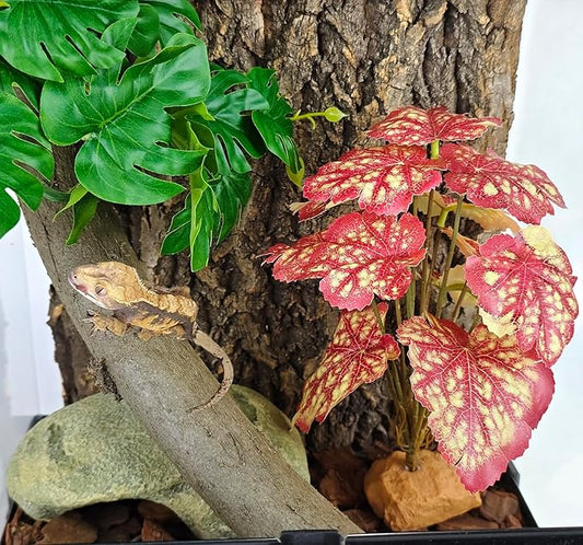 Woyrise Reptile Artificial Plants for Terrarium Decor, Amphibian Habitat Decorations Bearded Dragon Tank Accessories fit Crested Gecko Leopard Lizard Chameleon Snake Frog - Fake Pink Heuchera