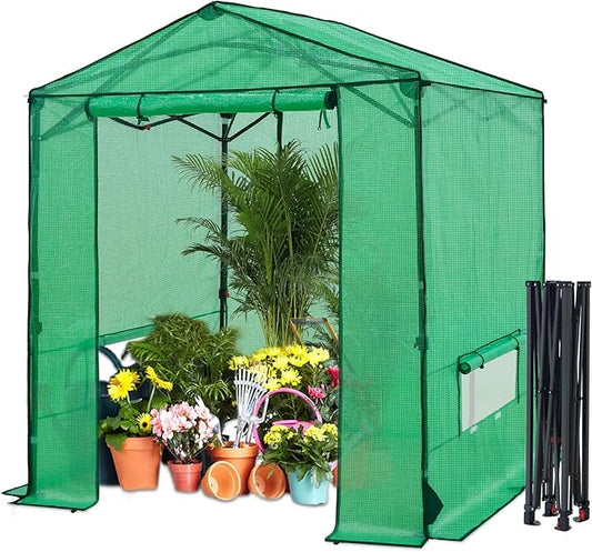 6x6 Pop Up Walk-in Greenhouse, Indoor & Outdoor PE Cover Green House with Power Access Ports, Roll-up Zippered Doors and Windows, Green