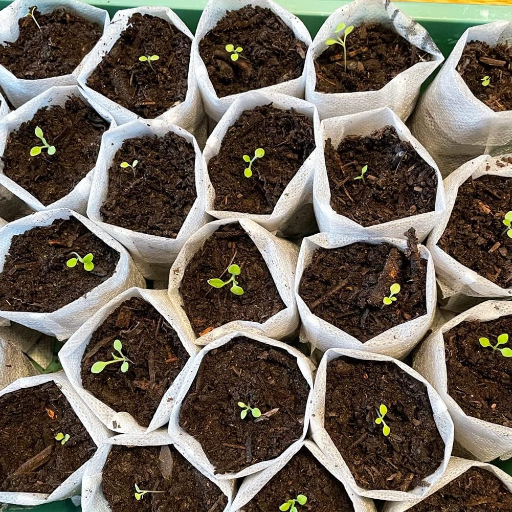 Large Non-Woven Nursery Bags for Plants,25PCS (13.2"x15") Fabric Planters Grow Bags,Seedlings Grow Bag for Planting,Gardening Transplanted Home Gardening Supply