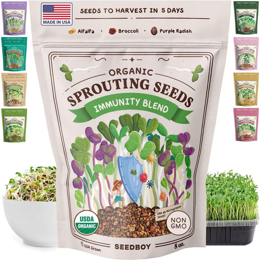 Seedboy Organic Sprouting Seeds - Immune System Booster Blend - Non-GMO, USA Grown - Broccoli, Purple Radish, Alfalfa - Makes 8 Quarts of Sprouts, 24 Servings (8 oz) (Immune System Booster Blend)
