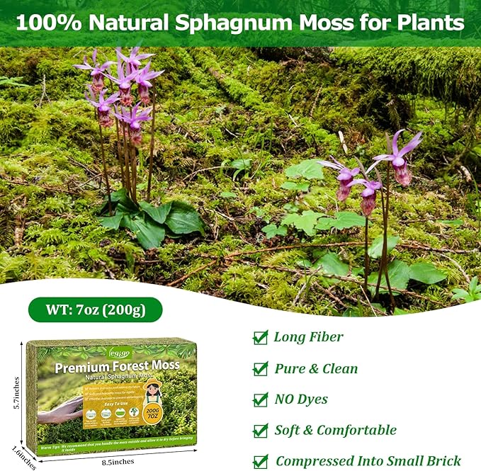 Legigo 7OZ Premium Forest Moss for Plants, 8 QT Natural Green Sphagnum Moss for Potted Plants, Dried Orchid Moss Potting Mix, Soft Real Moss Decorative for Houseplants Orchids Succulents Reptiles