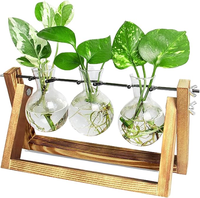 Propagation Station, Plants Terrarium, Plants Lover Gifts for Women,Plant Cutting Holder Home décor,Gifts for Women,House Warming New Home-3 Bulbs-C Type