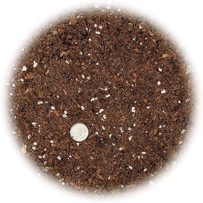 GARDENERA Citrus Tree Potting Soil Mix, Special Blend for Indoor Oranges, Lemons, Limes and More - (1 Quart Bag)