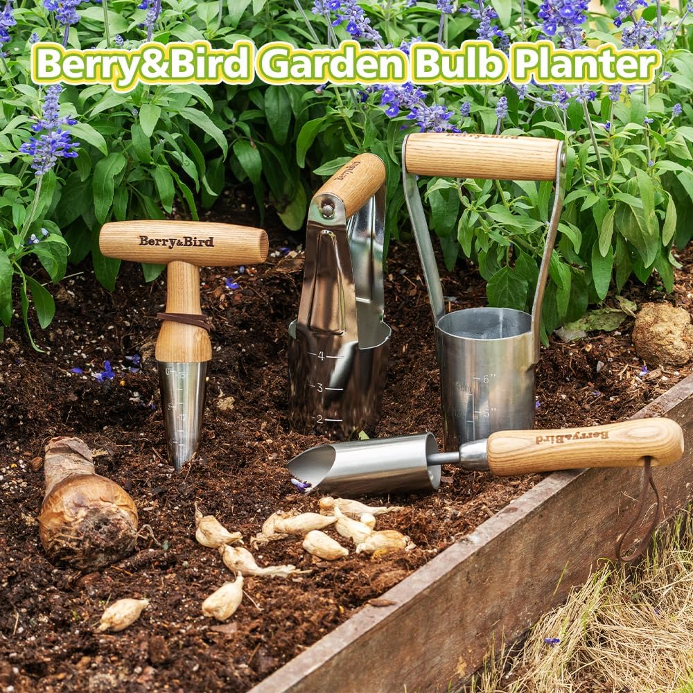 Berry&Bird Hand Dibber – Precision Wood Handle Garden Hole Punch Dibbler Tool for Planting Seeds & Bulbs with 6'' Measuring Scale, Bulb Planter for Planting Flowers Tulips Daffodils Dahlias