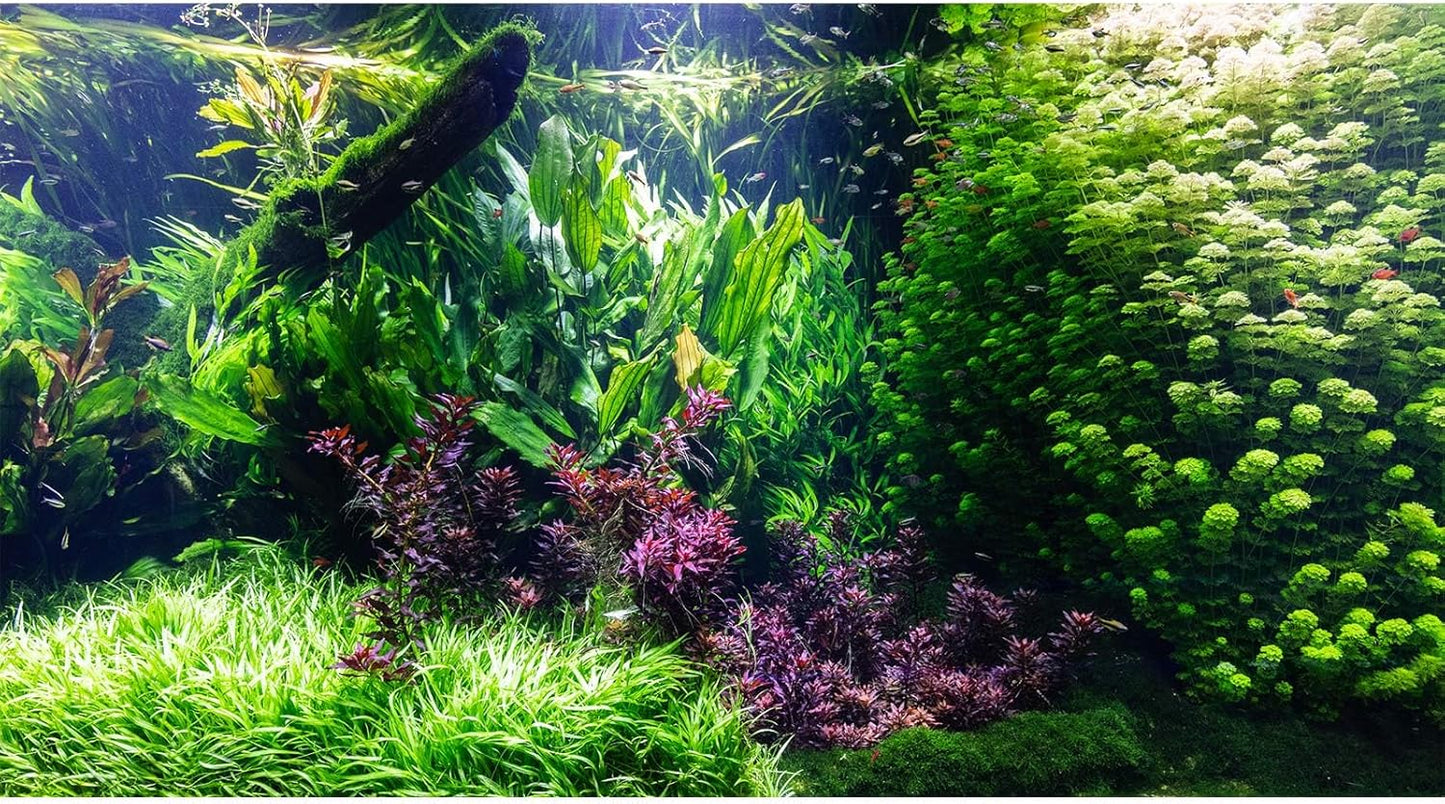 Aquarium Background Various Underwater Grass Plants Aquarium Backdrop Vivid and Fresh Green Aquatic Plants Stone River Bed and Dead Wood Tank Background Vinyl 36x18in