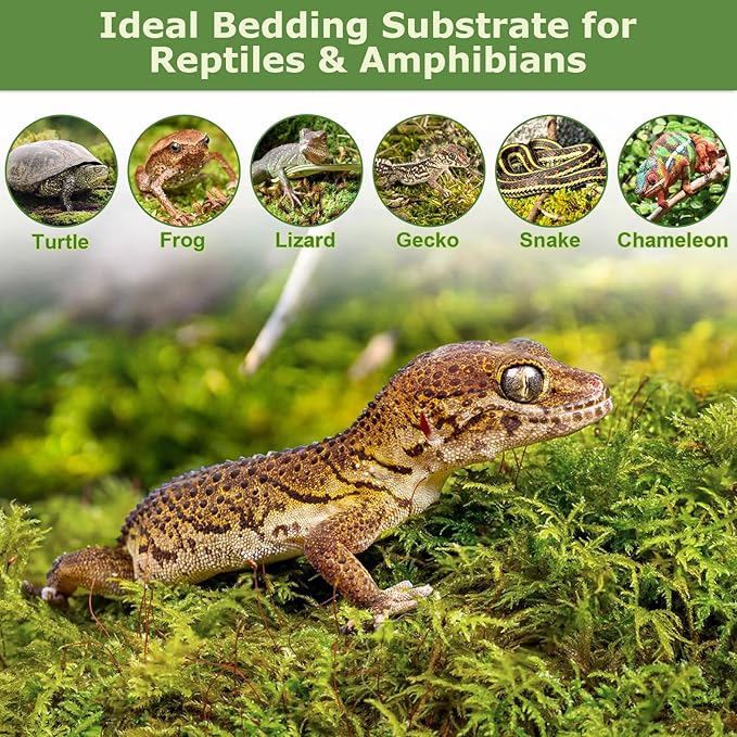 Legigo 2.6LBS Premium Forest Moss for Plants, 50 QT Natural Green Sphagnum Moss for Potted Plants, Dried Orchid Moss Potting Mix, Soft Real Moss Decorative for Houseplants Orchids Succulents Reptiles