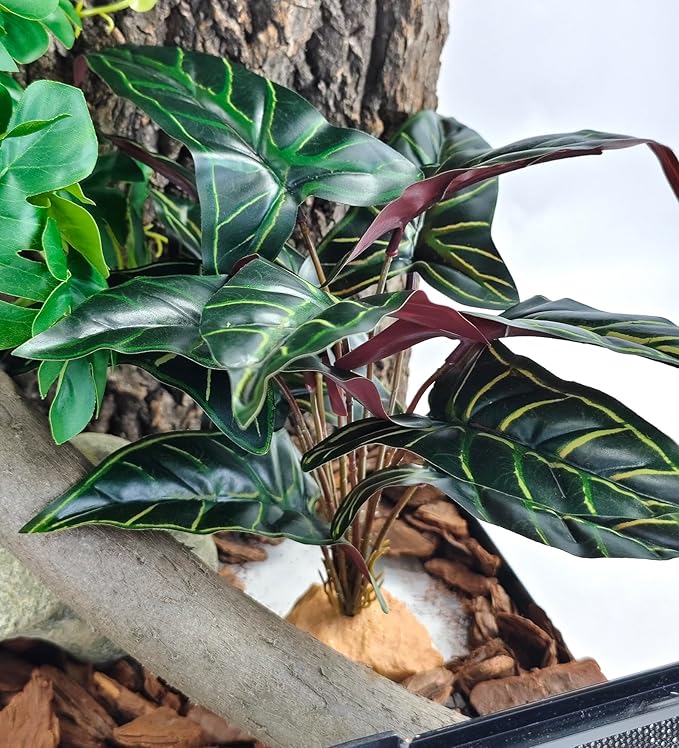 Woyrise Reptile Artificial Plants for Terrarium Decor, Amphibian Habitat Decorations Bearded Dragon Tank Accessories fit Crested Gecko Leopard Lizard Chameleon Ball Python Snake Frog - Fake Alocasia