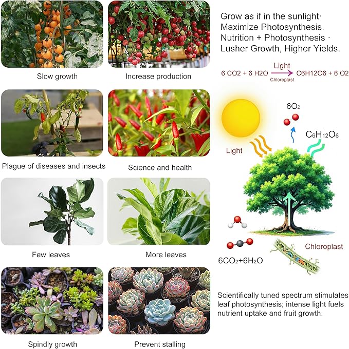 2 Pack LED Grow Light Panel 200W Lamp for Indoor Plants, Full Spectrum with White Blue Red UV IR LEDs for 4x4ft Coverage Grow Tent Greenhouse Veg and Bloom Seedlings Hydroponics