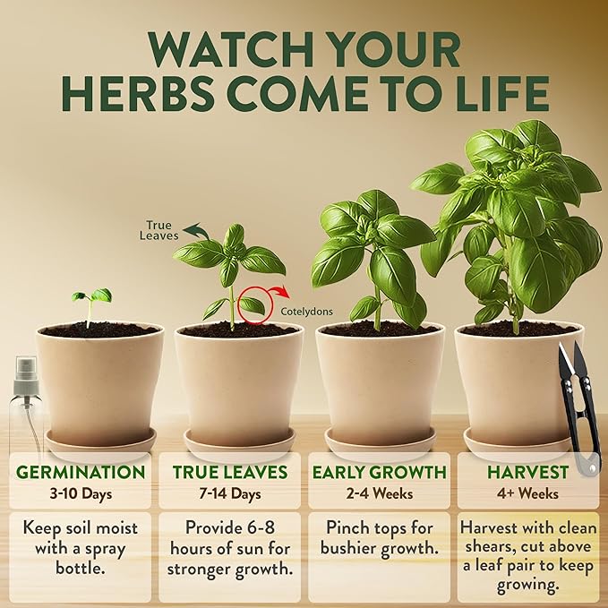 HOME GROWN Herb Garden Planter Indoor Kit – Unique Christmas Gift for Adults, Men, & Women - Grow 4 Heirloom Herb Seeds on Kitchen Window – Beginner DIY Craft & Hobby Gardening Gift for Plant Lovers