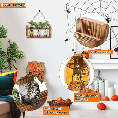 Plant Terrarium Propagation Stations Hydroponics Halloween Skull Planter Vase Skulls Decor with Wooden Stand Gift for Father