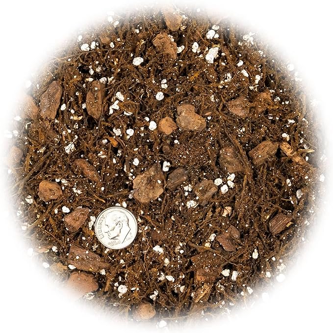 Premium Gardenera House Plant Potting Mix | Fern + New Zealand Bark + Perlite | Great for Pothos, Spider Plants, Montsera, Philodendron, English Ivy - 3 Quart Bag