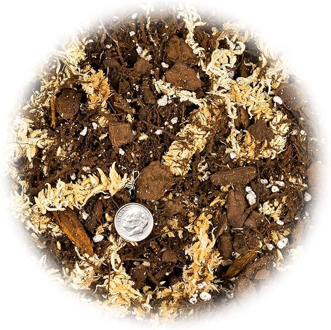 Gardenera Premium Orchid Mix by GARDENERA - 20 Quart - Fern + New Zealand Pine Bark + Sphagnum Moss + Perlite | Best for Growing and Repotting Orchids (4 Bags of 5 QT)