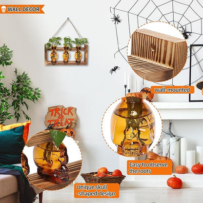 Plant Terrarium Propagation Stations Hydroponics Halloween Skull Planter Vase Skulls Decor with Wooden Stand Gift for Father