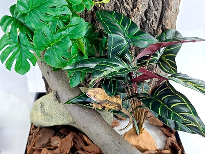 Woyrise Reptile Artificial Plants for Terrarium Decor, Amphibian Habitat Decorations Bearded Dragon Tank Accessories fit Crested Gecko Leopard Lizard Chameleon Ball Python Snake Frog - Fake Alocasia