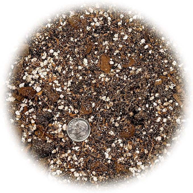 GARDENERA Premium Spider Plant Potting Soil Mix - (2 Quart Bag)