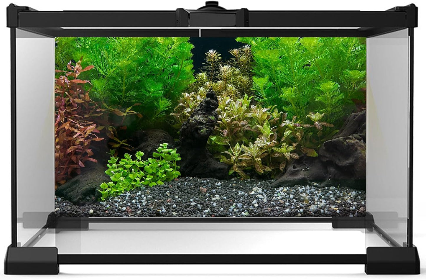 Aquarium Background Exquisite Underwater Grass Leaves with Pebbles Aquarium Backdrop Vivid Green Aquatic Plant Stone with Dead Woods and Fresh Leaves Fish Tank Wallpaper 72x24in