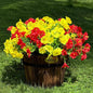 10 Bundles Artificial Flowers for Outdoor,UV Resistant Fake Petunia Flowers,Faux Plants for Outside Hanging Planters,Artificial Plants for Indoor Porch Garden Home Wedding Decor(Yellow,Red)