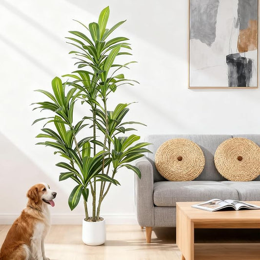 6FT Artificial Dracaena Tree, Faux Dracaena Plant with Stones in White Round Planter, Tall Fake Floor Plant for Indoor Home Office Living Room Decor