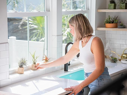 Stunning Flat Bottom Globe Plant Terrarium Kit - Small Assorted Air Plant and Black Stones in Propagation Jar - Home and Garden Decor Plants Pot - Easy Care Indoor and Outdoor Plants Vase