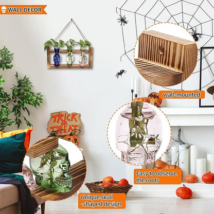 Plant Terrarium Propagation Stations Hydroponics Halloween Skull Planter Vase Skulls Decor with Wooden Stand Gift for Father