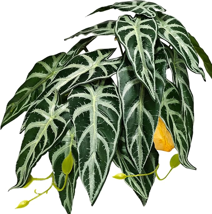 Woyrise Reptile Plants for Terrarium Decor, Ball Python Tank Accessories fit Bearded Dragon Crested Leopard Gecko Lizard Chameleon Snake Frog Tortoise Hermit Crab - Fake Alocasia Black Velvet