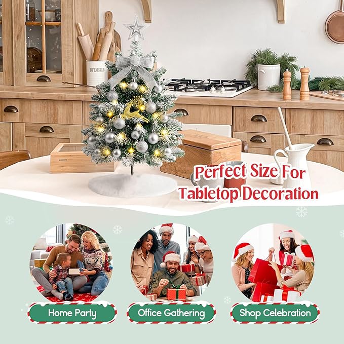 N&T NIETING 24 Inch Small Christmas Tree with Lights, Mini Flocked Christmas Tree Set, 2FT Table Top Artificial Christmas Trees with Ornaments, Little Xmas Tree for Holiday DIY Christmas Decoration