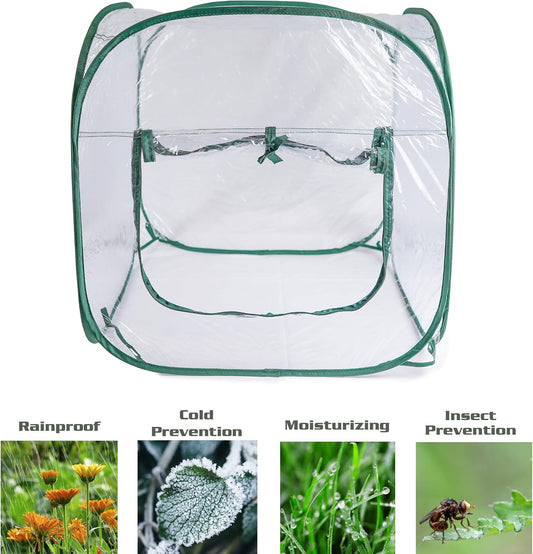 Medium Pop Up Greenhouse, Versatile Greenhouses for Outdoors or Indoor Greenhouse.