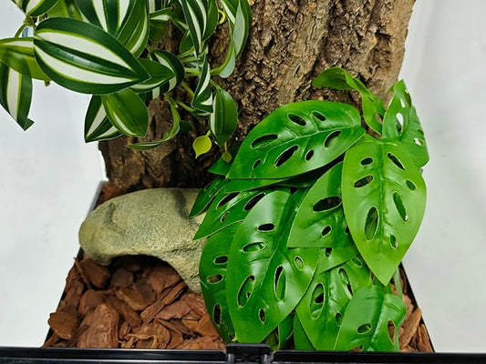 Woyrise Reptile Artificial Plants with Base, Terrarium Decor Amphibian Habitat Plant, Bearded Dragon Tank Accessories fit Gecko Lizard Chameleon Snake Frog - Monstera Adansonni