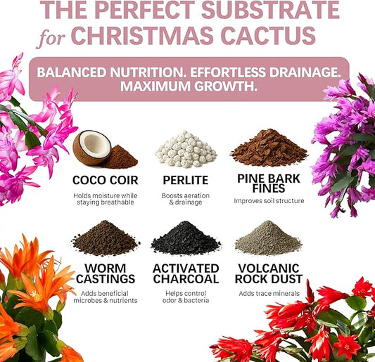 Premium Christmas Cactus Soil – Organic, Nutrient-Rich, Optimal-Draining Potting Mix for Schlumbergera – Promotes Healthy Roots, Balanced Moisture & Vibrant Blooms – Ready to Use (4 QTS)