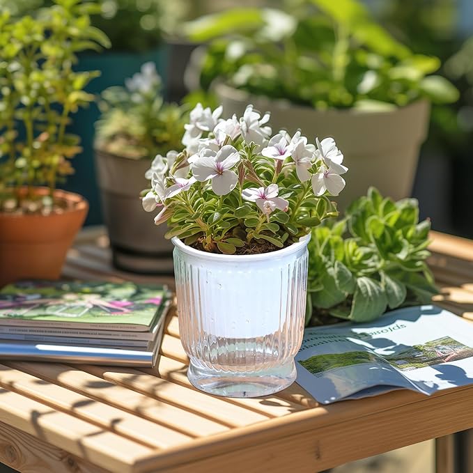 T4U 4 Inch Self Watering Plant Pot, 4 Pack Self Watering Pots, Self Watering Planter with Reservoir, Clear Self Watering Pots for Indoor Plants, African Violets, Flowers (4 Pack, 4", Clear)