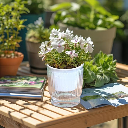 T4U 4 Inch Self Watering Plant Pot, 4 Pack Self Watering Pots, Self Watering Planter with Reservoir, Clear Self Watering Pots for Indoor Plants, African Violets, Flowers (4 Pack, 4", Clear)