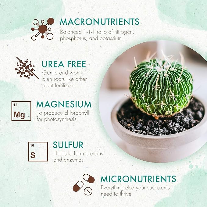 The Grow Co Succulents & Cactus Plant Food - Gentle Long Lasting Formula, Slow Release Fertilizer (Liquid Alternative) for All Potted Succulent, Cacti & Aloe Vera Plants (5 oz)