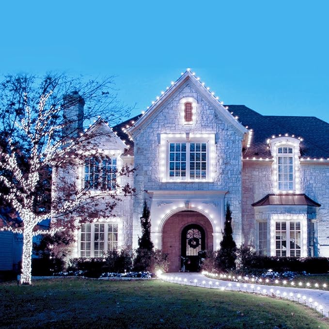 C9 LED Christmas Lights Outdoor, 68 Feet 100 LED Strawberry String Lights with 100 Spring Clamps, Waterproof Commercial Grade Extendable for Outside Roofline Patio Home Xmas Decoration, Pure White