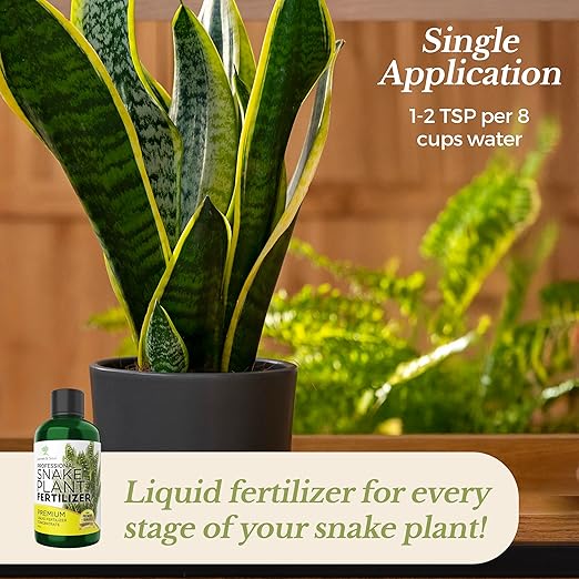 Professional Liquid Snake Plant Fertilizer | 3-1-2 Concentrate for Plants and Flowers | Multi-Purpose Blend & Gardening Supplies | 8 oz Bottle