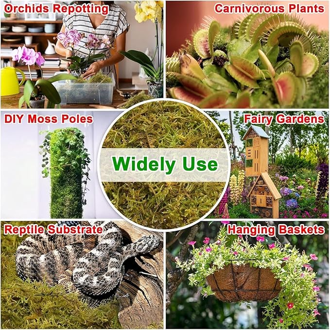 Halatool 5.5LB Green Forest Moss Natural Sphagnum Moss for Plants Fluffy Orchid Moss for Orchids Repotting Dried Plant Moss for Potted Plants Indoor & Outdoor