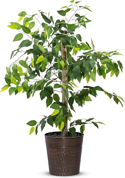 4ft Artificial Plant with Copper Metal Pot and Real-Wood Trunk - Realistic Artificial Trees for Home Decor Indoor, Faux Ficus Tree