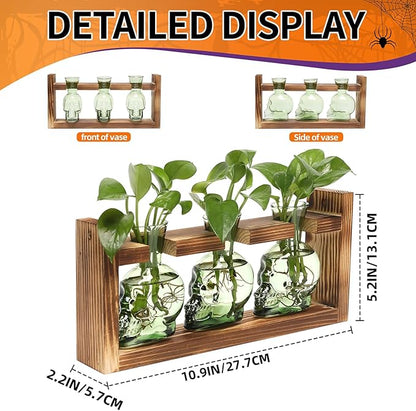 Plant Terrarium Propagation Stations Hydroponics Halloween Skull Planter Vase Skulls Decor with Wooden Stand Gift for Father
