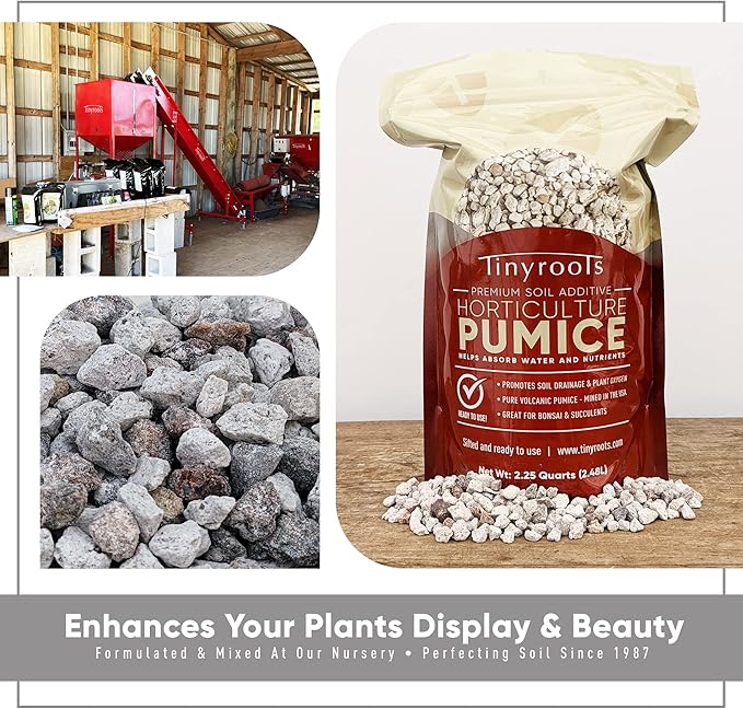Bonsai Outlet Horticultural Pumice for Plants - Tinyroots Succulents, Cactus, Bonsai Plants - 100% Pure Bonsai Pumice Rocks, 1/4 inch Soil Additive, 2 Quarts