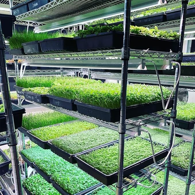 Active Grow Integrated Strip T5 4FT LED Grow Light - T5 Grow Lights for Indoor Plants, Flowers, Fruit, Veg, Bloom & Tropical Plants - 22W - Red Bloom Pro Full Spectrum - Linkable - 120-277V - 2-Pack