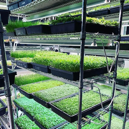 Active Grow Integrated Strip T5 4FT LED Grow Light - T5 Grow Lights for Indoor Plants, Flowers, Fruit, Veg, Bloom & Tropical Plants - 22W - Red Bloom Pro Full Spectrum - Linkable - 120-277V - 2-Pack