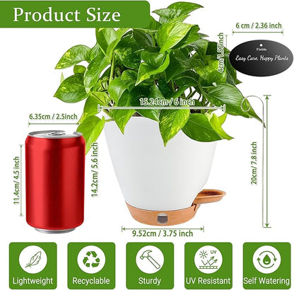 6 Inch Self Watering Pots for Indoor Plants (5-Pack) – Small Plastic Planters with Water Window, Drainage Holes & Trays, Indoor Outdoor Flower Pots for Herbs, Succulents, Home Garden Decor (White)