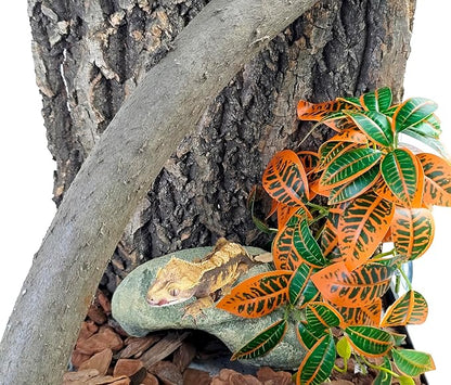 Woyrise Reptile Plants, Terrarium Hanging Plant Vines, Artificial Leaves with Suction Cup, Bearded Dragon Tank Accessories for Gecko Lizard Snake Frog Tortoise Decorations - Codiaeum Variegatum